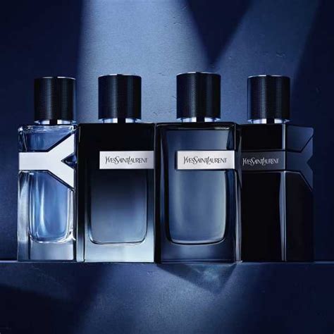 intense ysl parfum|YSL y intense fragrantica.